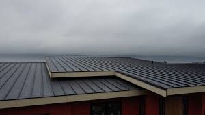 Fast & Reliable Emergency Roof Repairs in Spring Lake, MI